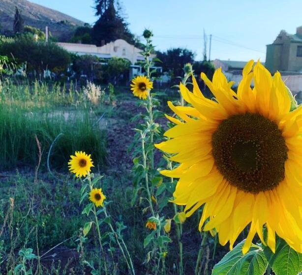 스탠다드 룸 공동 욕실, El Convento De Tilcara