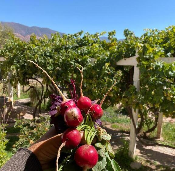 패밀리 룸, El Convento De Tilcara