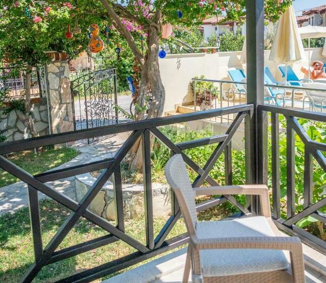 חדר סטנדרט, Loya Vita