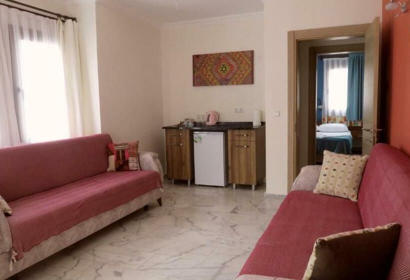 חדר סטנדרט, Loya Vita