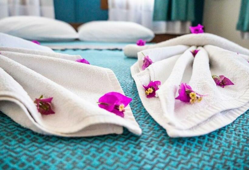 חדר סטנדרט, Loya Vita