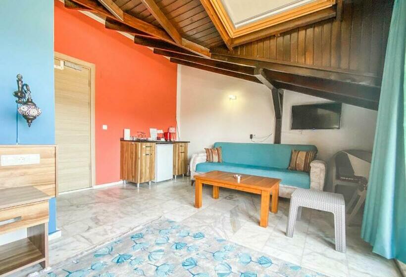 חדר סטנדרט, Loya Vita