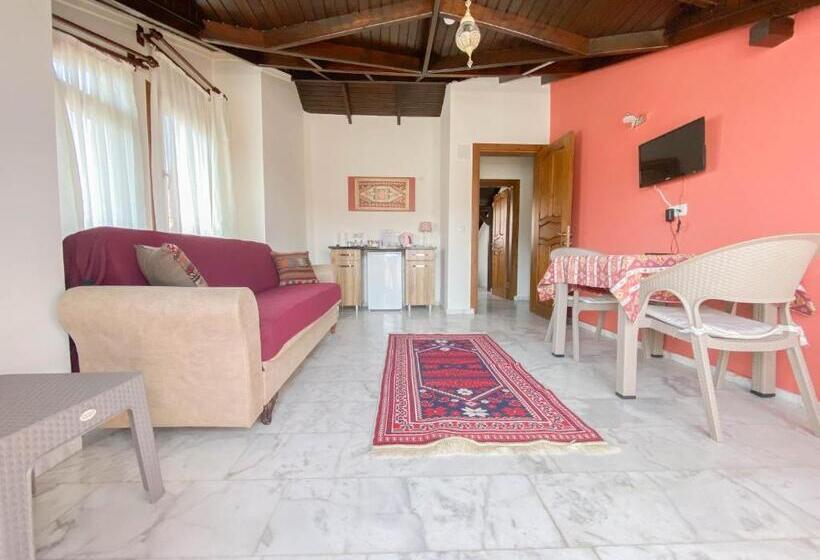 חדר סטנדרט, Loya Vita