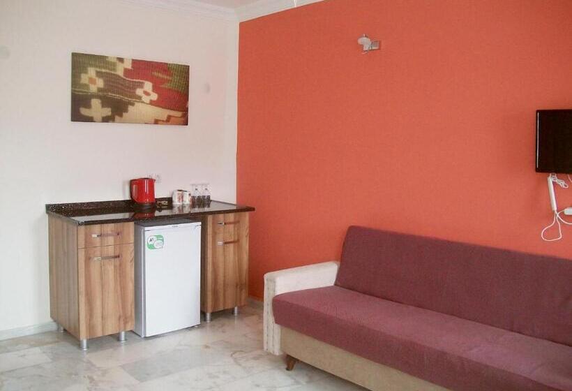 חדר סטנדרט, Loya Vita