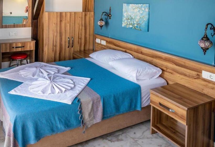 חדר סטנדרט, Loya Vita