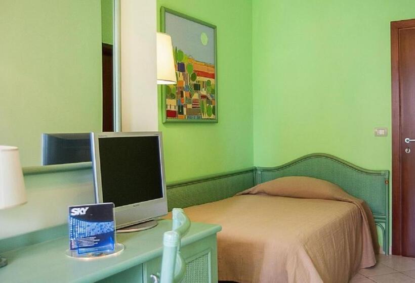 스탠다드 싱글 룸, Orion