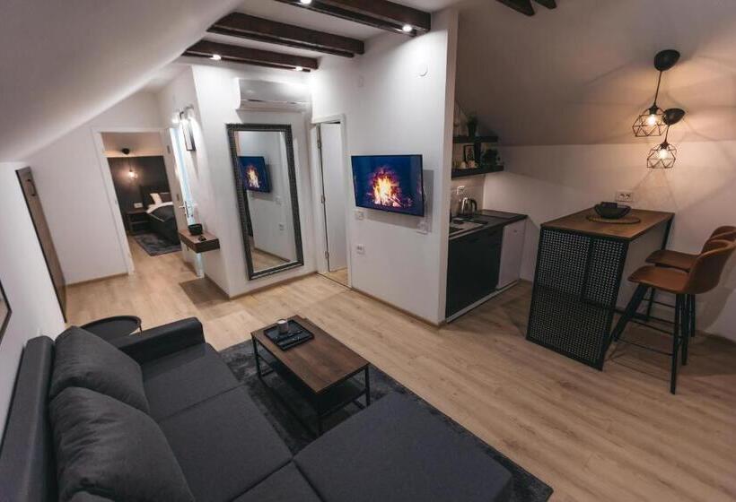 带1个卧室的公寓, City Centar House