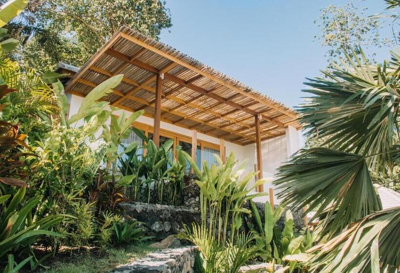 带花园景观的标准洋房, Neano Escape