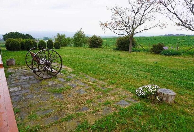 اتاق استاندارد با چشمانداز باغ, Agriturismo Podere Santa Virginia