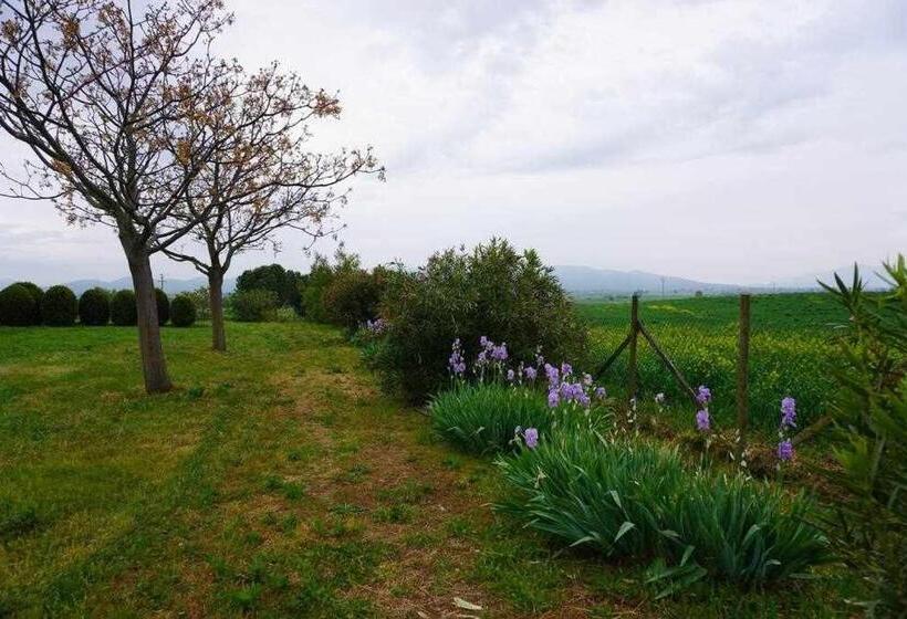 خانه 1 خوابه, Agriturismo Podere Santa Virginia