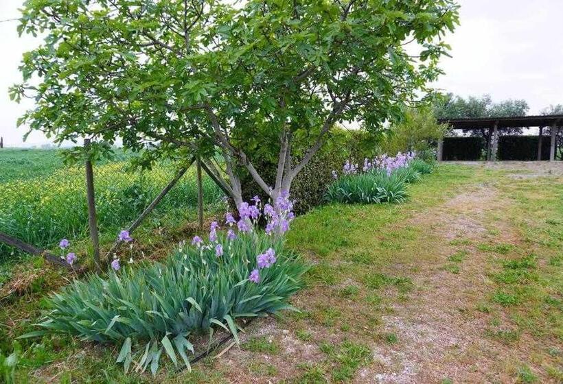 اتاق استاندارد با چشمانداز باغ, Agriturismo Podere Santa Virginia