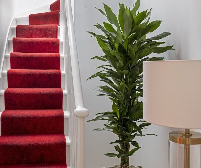 سوییت, Virgin Hotels Edinburgh