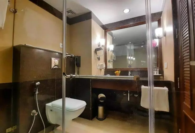 エクゼクティブルーム, Royal Orchid Fort Resort
