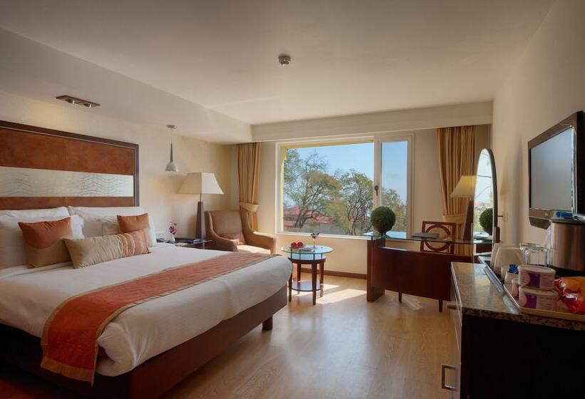 エクゼクティブルーム, Royal Orchid Fort Resort