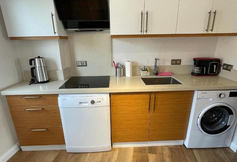 آپارتمان دوبلکس 1 خوابه, Oikos Bozcaada