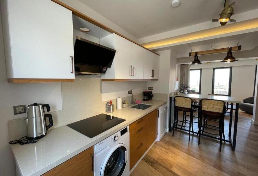 آپارتمان دوبلکس 1 خوابه, Oikos Bozcaada