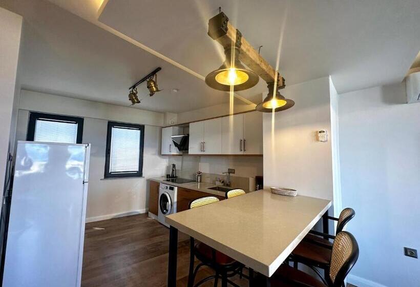 آپارتمان دوبلکس 1 خوابه, Oikos Bozcaada