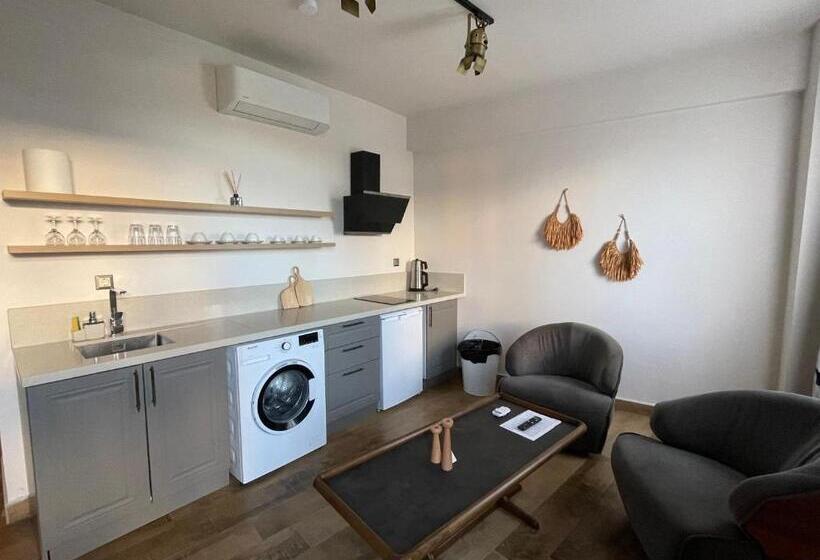 استودیوی استاندارد, Oikos Bozcaada