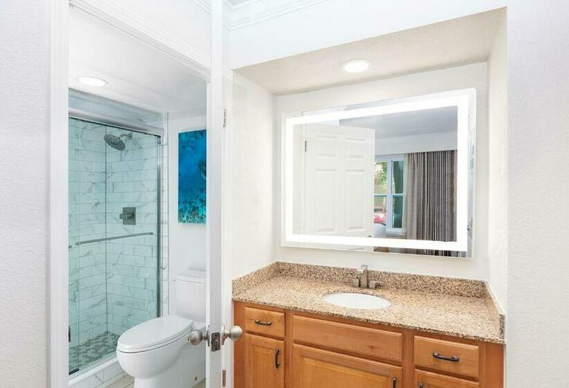 דירת שני חדרים, Gorgeous Condo Near Disney