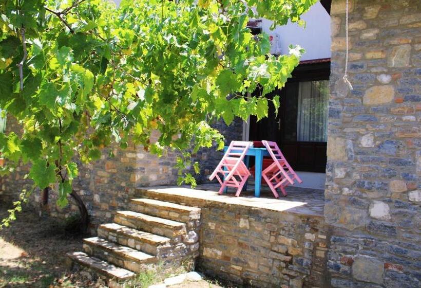 اتاق استاندارد, Pir Efes Konakları