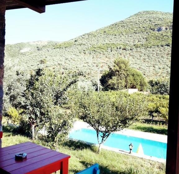 اتاق لوکس, Pir Efes Konakları