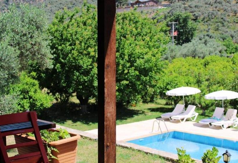 اتاق لوکس, Pir Efes Konakları