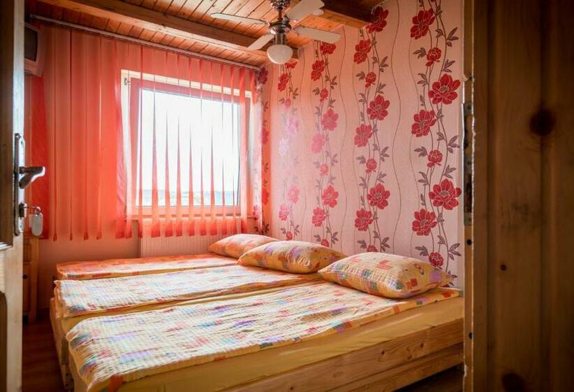 스탠다드 룸, Pensiunea Elena