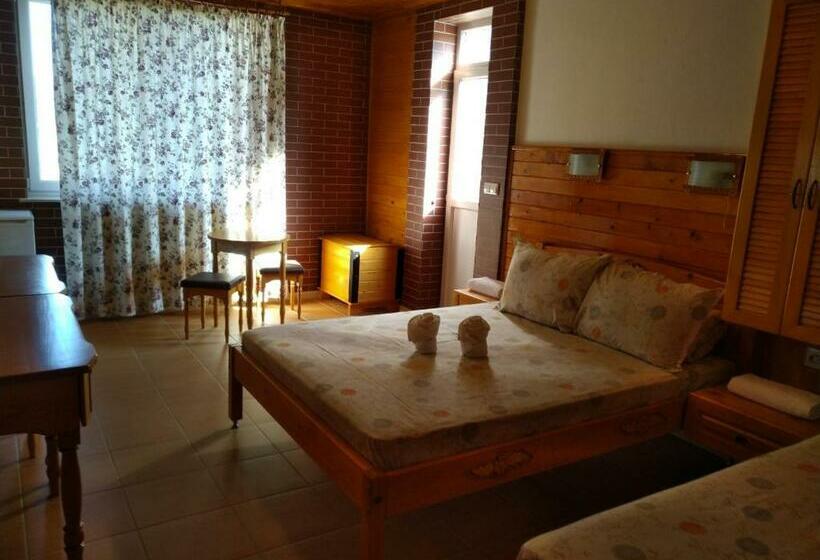 Номер Стандарт Трехместный, Doctor S House
