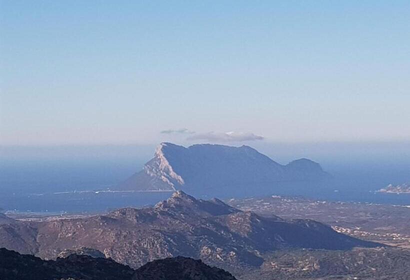 خانه 2 خوابه, Villa Dettori