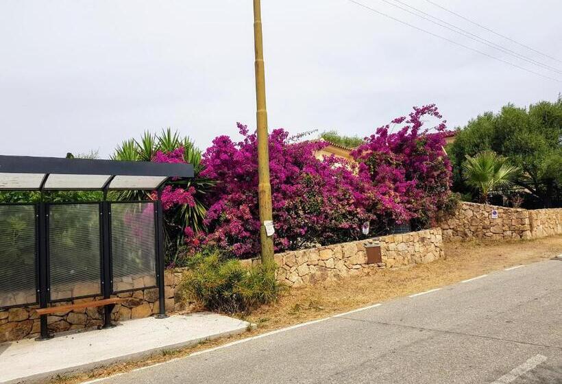 اتاق استاندارد سه نفره, Villa Dettori