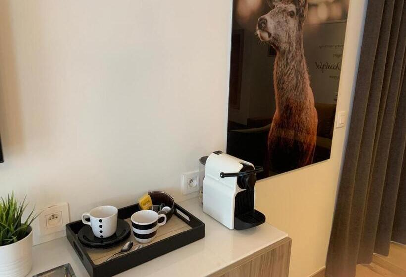 豪华工作室, Q Studio