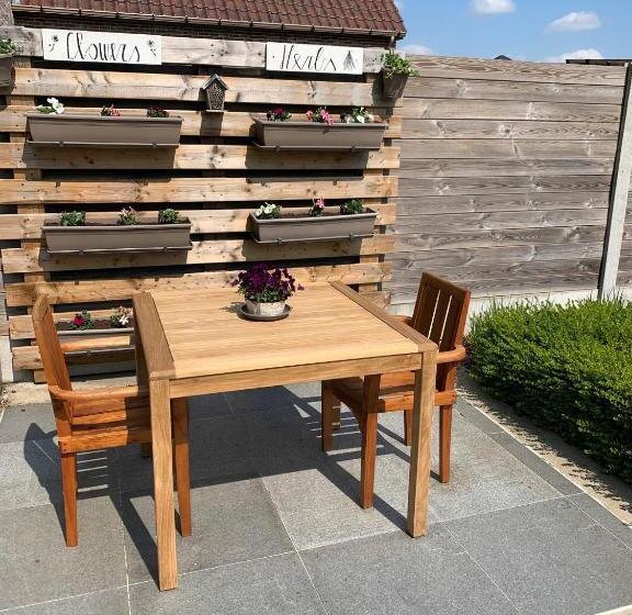 豪华工作室, Q Studio