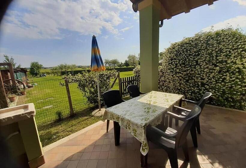 Апартаменты 1 Спальня, Agriturismo Lizzarola