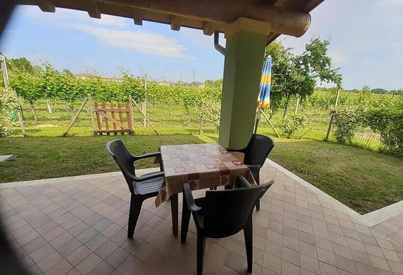 패밀리 스튜디오, Agriturismo Lizzarola