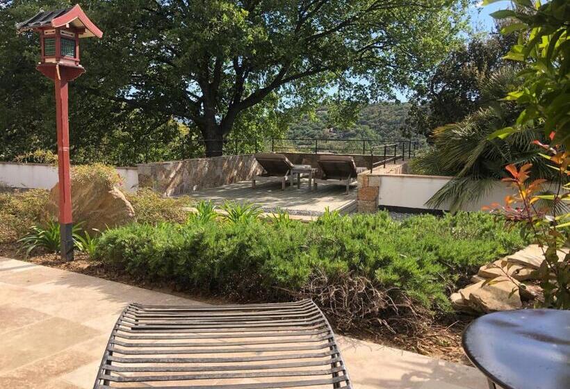 חדר סטנדרט עם מיטת קינג, Les Aurochs