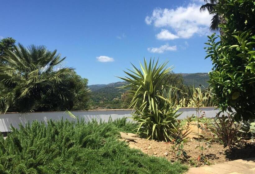 غرفة قياسية سرير كينج, Les Aurochs