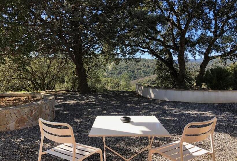 חדר סטנדרט עם מיטת קינג, Les Aurochs