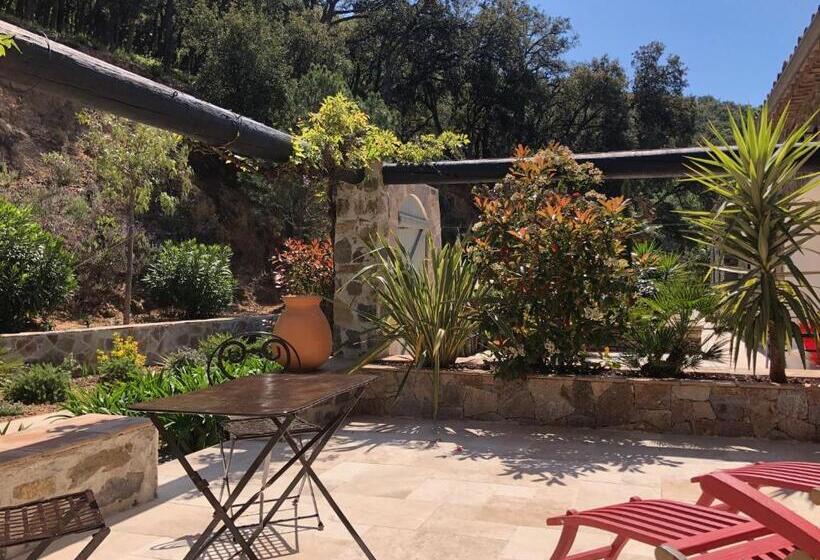 חדר סטנדרט עם מיטת קינג, Les Aurochs