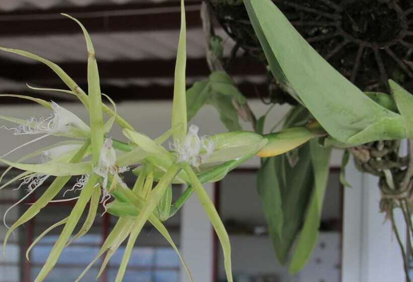 패밀리 룸, Finca Hotel Villa Clara