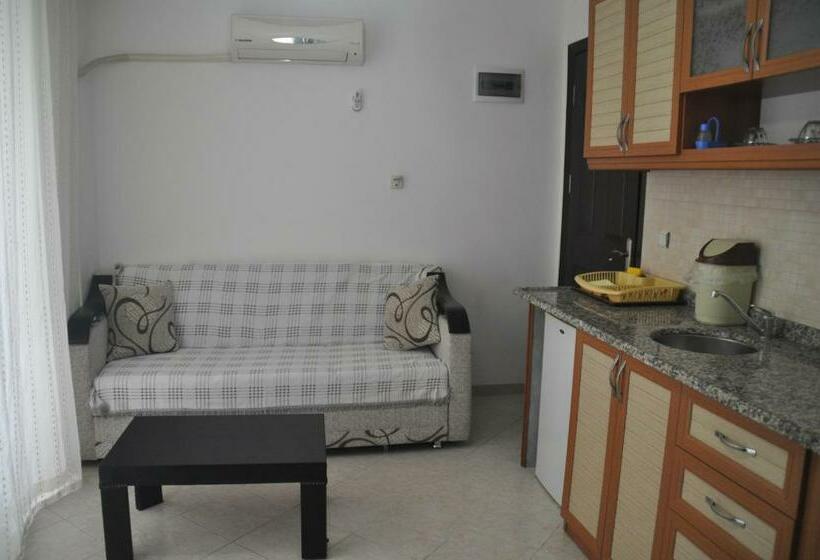 آپارتمان 1 خوابه با بالکن, Oğuz Apart