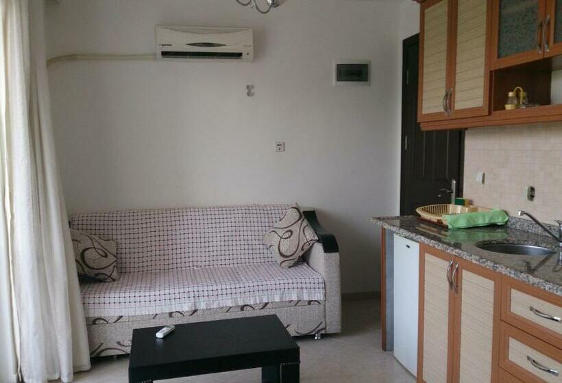 バルコニー付き1ベッドルームアパートメント, Oğuz Apart