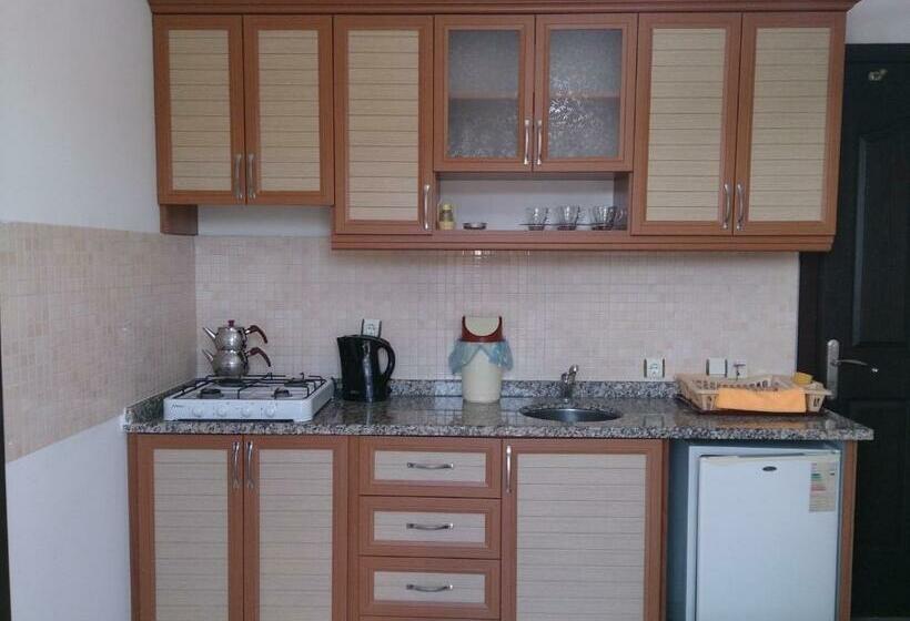 آپارتمان 1 خوابه با بالکن, Oğuz Apart