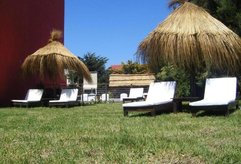 标准间, San Remo Amapola Apart