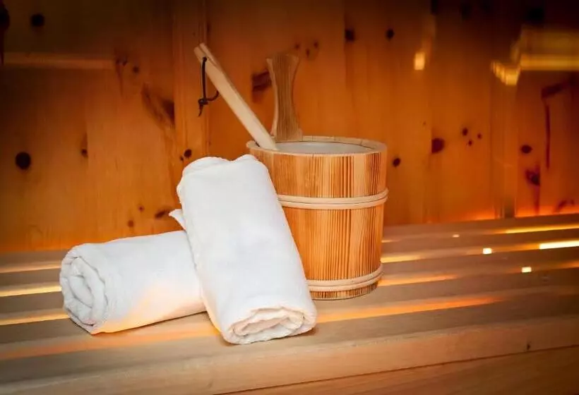 ペントハウススイート, Alpenbad Hotel Hohenhaus