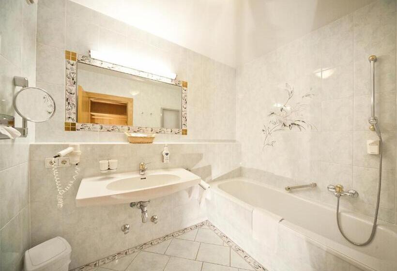 スタンダードスタジオ, Alpenbad Hotel Hohenhaus