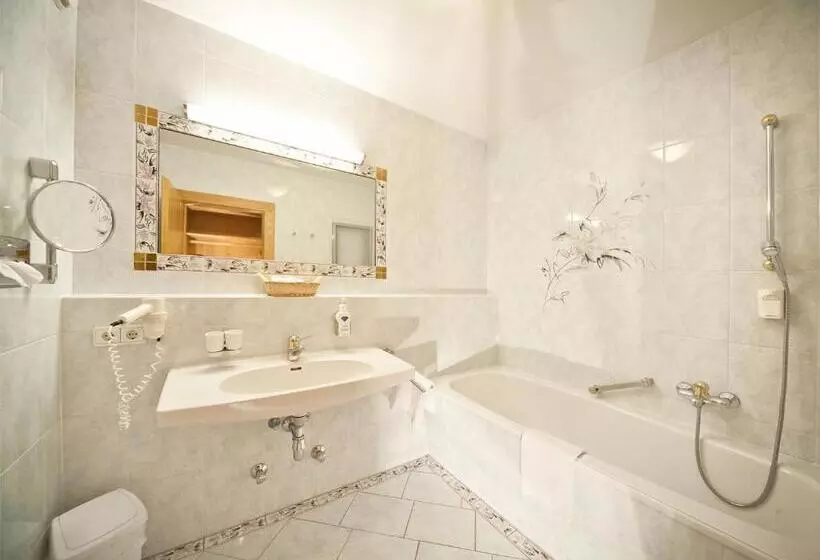 スタンダードスタジオ, Alpenbad Hotel Hohenhaus