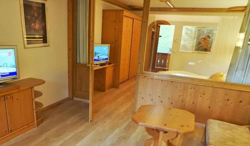 スタンダードスタジオ, Alpenbad Hotel Hohenhaus