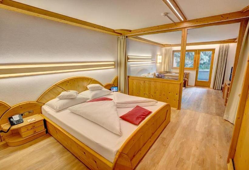 スタンダードスタジオ, Alpenbad Hotel Hohenhaus