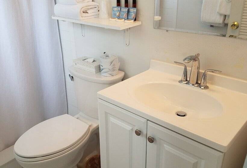 غرفة قياسية, Authors Key West Guesthouse