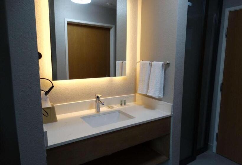 Номер Стандарт, Best Western Dewitt